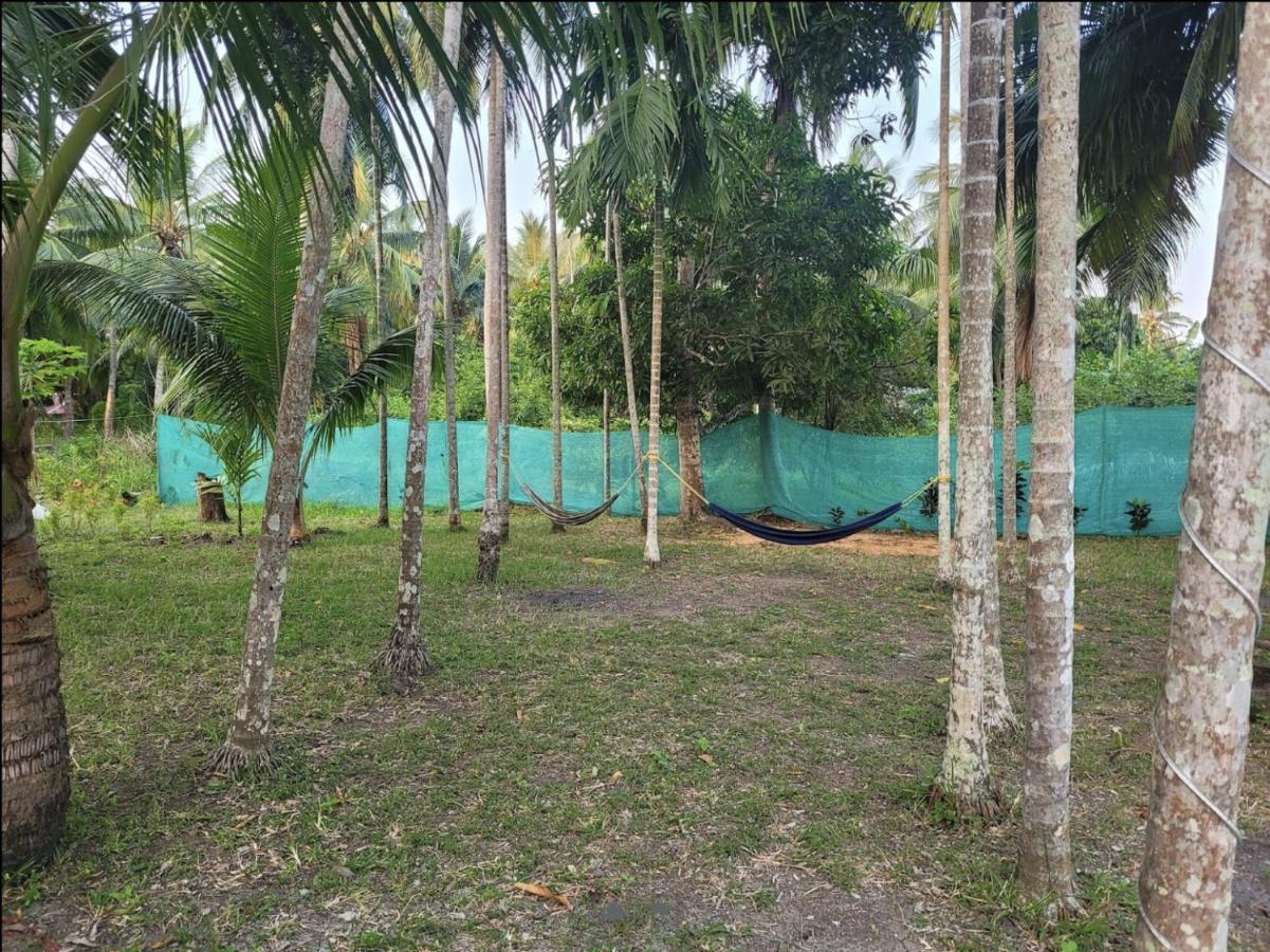 Blue Lagoon Resort, Neil Island Sitapur Esterno foto